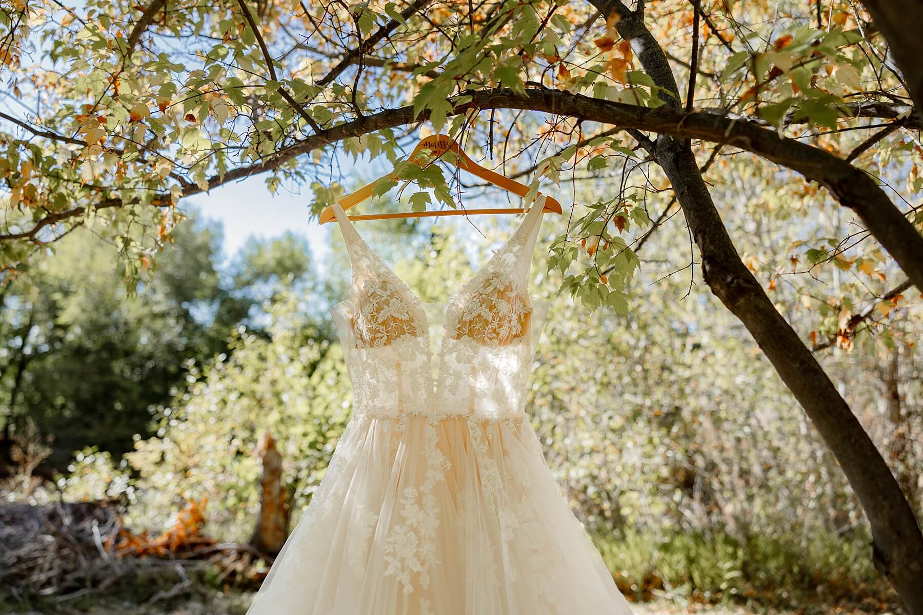 brides dress in sunlight